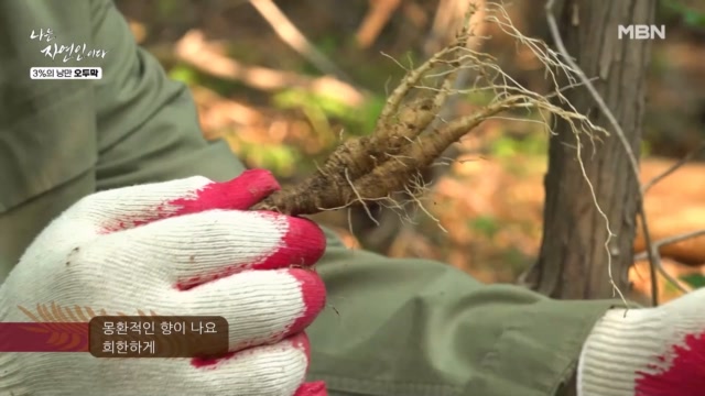 산 속에서 자연인과 윤택이 발견한 것은?!