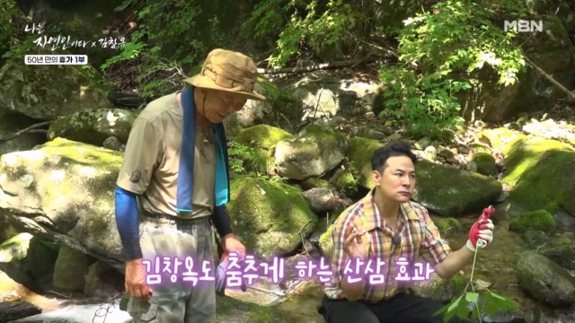 자연인 1일 차 기념! 산삼 먹고 어깨춤을 추게 할 거야~