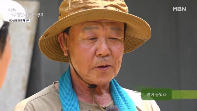50년 만에 아내에게 ‘미안해’… 눈물 쏟은 자연인