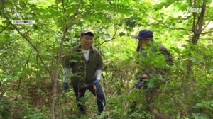 썸네일 이미지