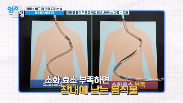 장독소를 잡고 장 건강 지키는 법. 『효소』를 보충하라! 효소.. 정말 효과가 있을까??