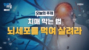 치매 막는 법! 뇌세포를 먹여살려라