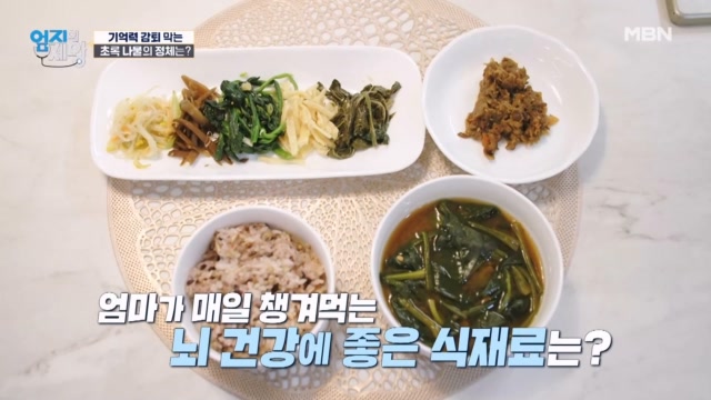 뇌 건강에 좋은 식재료는?? 기억력 감퇴를 막는 「시금치」