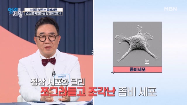 노화를 부르는 좀비세포! 내 피부에 좀비 세포가 있는지 확인할 방법은?