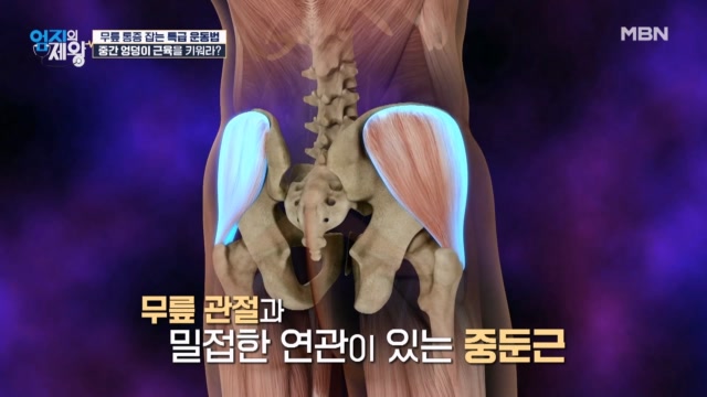 (국가대표 트레이너 추천) 무릎 통증을 잡으려면 중간 엉덩이 근육을 키워라!