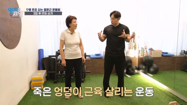 단 5일 투자로 무릎 통증 잡는 「중둔근 살리는 운동법」