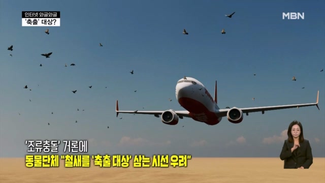 [인터넷 와글와글] '조류충돌' 거론에 동물단체 