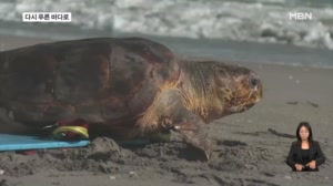 [굿모닝월드] 다시 푸른 바다로