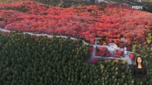 [굿모닝월드] 마라맛 풍경