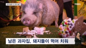 [굿모닝월드] 그 많던 과자집은 다 어디로?