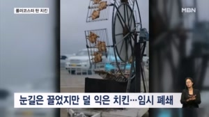 썸네일 이미지