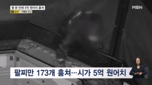 썸네일 이미지