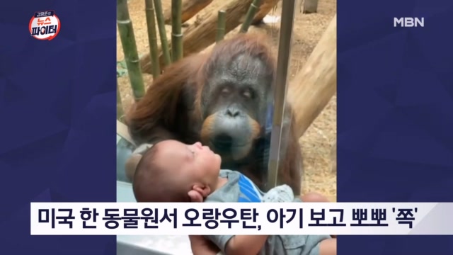 뉴스 썸네일