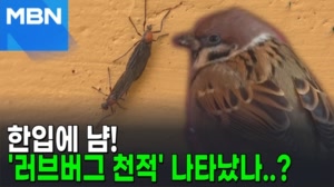 썸네일 이미지 - 
