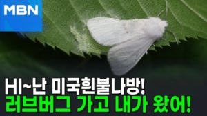 썸네일 이미지 - 러브버그 갔더니 '이것' 온다…기후변화가 부른 '불...