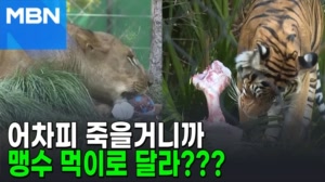 썸네일 이미지 - 