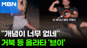 썸네일 이미지