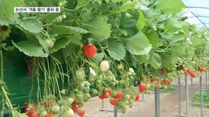 썸네일 이미지