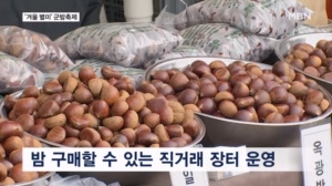 "장작불에 구워야 제맛이죠"…공주 군밤축제 개막