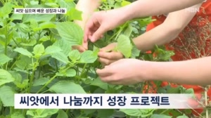 썸네일 이미지