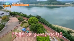 썸네일 이미지
