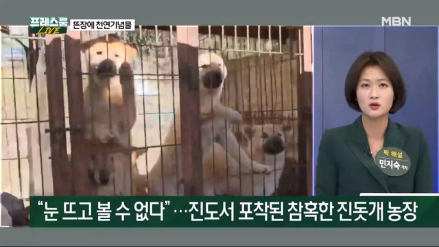 [프레스룸LIVE] 가지각색 ＇동물극장＇