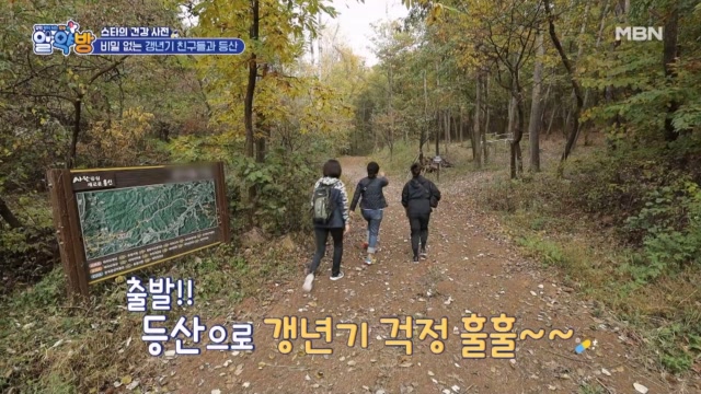 비밀 없는 갱년기 친구들과 등산! 피톤치드 마시며 힐링~♥