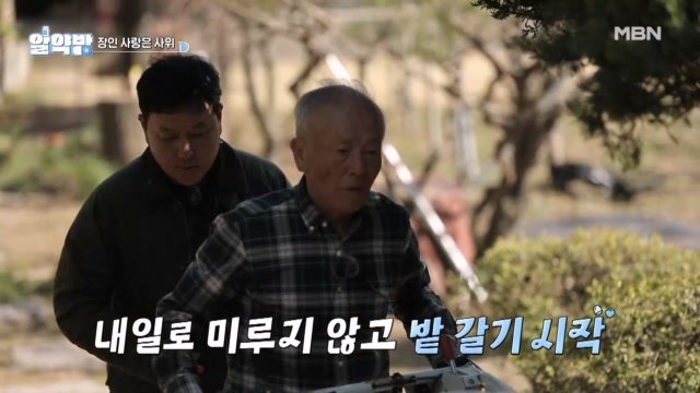 배우 임현식과 둘째 사위의 우당탕탕 밭 갈기♨ 시작이 반 아닌가요..?