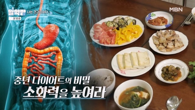 알약방 253회 재방송 다시보기