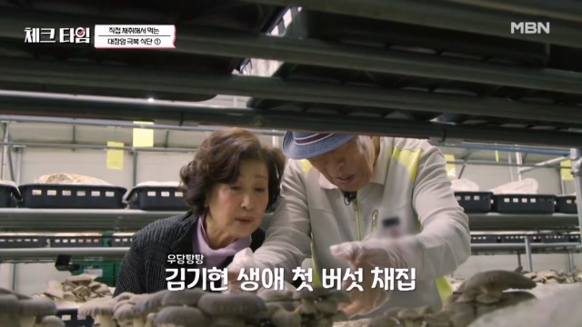 영양도 UP 식이섬유도 UP 영양 만점 버섯, 성우 김기현♥손영화가 직접 채취해 먹는 이유는??