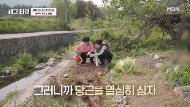텃밭 관리하며 심고~먹고~체력도 키우는 일석삼조 당근 모종 심기!!