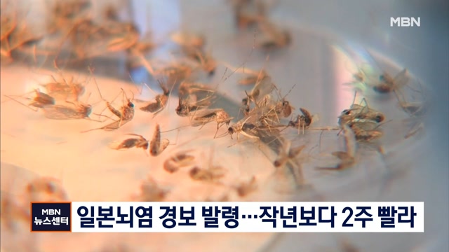 뉴스 썸네일