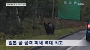 먹이 구하러 민가 습격까지…일본 곰 피해 역대 최고