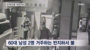 서울 반지하서 불 '60대 사망'…용접하다 돼지 580마리 폐사