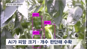[로봇농부]③ 피망·오이 따고 딸기 골라낸다…규모화로 앞서가는 일본 로봇