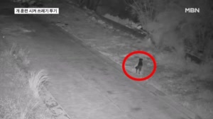 개 훈련 시켜 쓰레기 투기…일본 알몸 축제서 부상자 발생