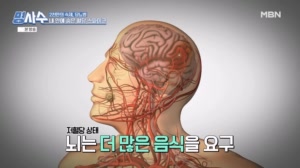 혈당을 좌우하는 소화 속도