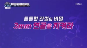 튼튼한 관절의 비밀 3mm 연골을 지켜라