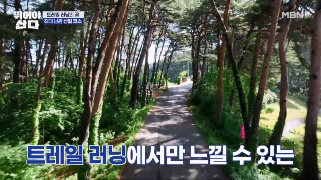 트레일 러닝의 꽃♥ 산길 코스
