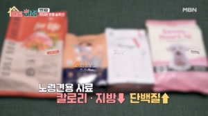 펫테랑이 알려주는 노령견 솔루션!