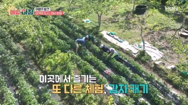 창원 여행 중 발견한 다양한 체험 농장과 푸른 산길