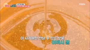 꽃이 준 귀한 선물! 아까시꿀