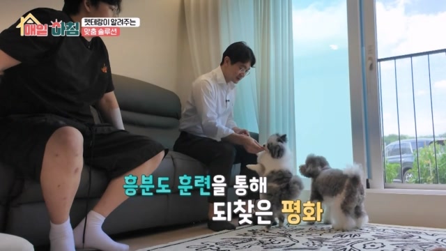 펫테랑이 알려주는 반려견의 문제점과 솔루션!