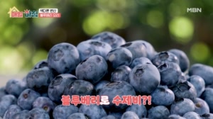 블루베리의 색다른 변신! ‘블루베리 수제비’부터 ‘블루베리잎 차’까지!