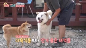 견공 삼총사의 좌충우돌 하루!